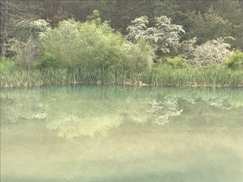D17 Petit lac