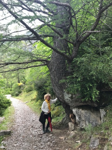 sentier d'Aurent